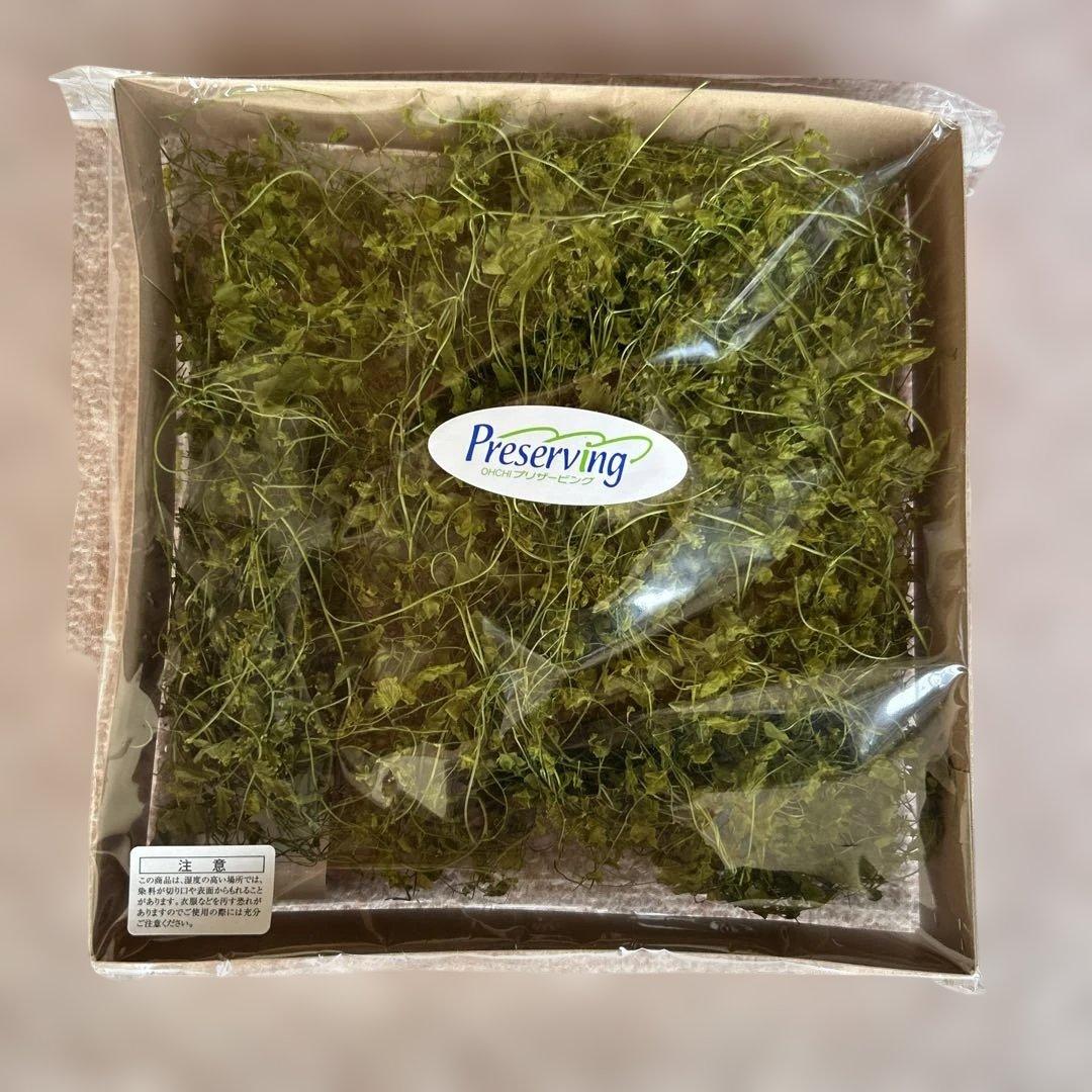 プリザーブドフラワー花材29点セット