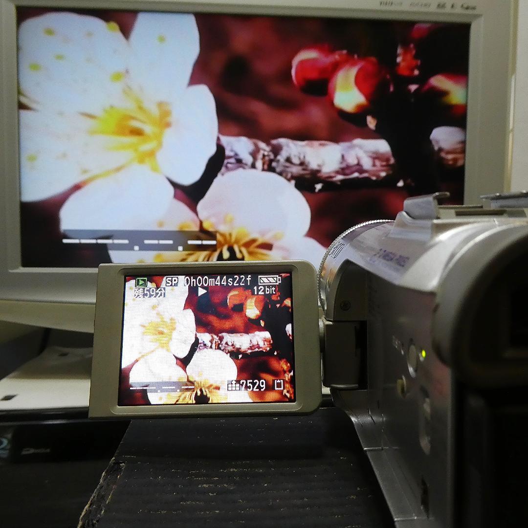 動作良好 パナソニックNV-GS150 MiniDVビデオ DVDダビングに最適