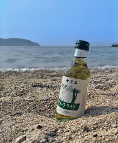 【箱付き】ネオ一眼　FINEPIX　HS10　FUJIFILM　富士フイルム