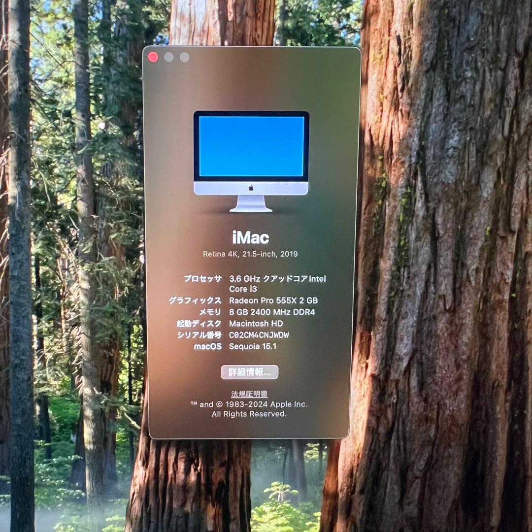 Macデスクトップ Apple iMac (Retina 4K, 21.5-inch, 2019)