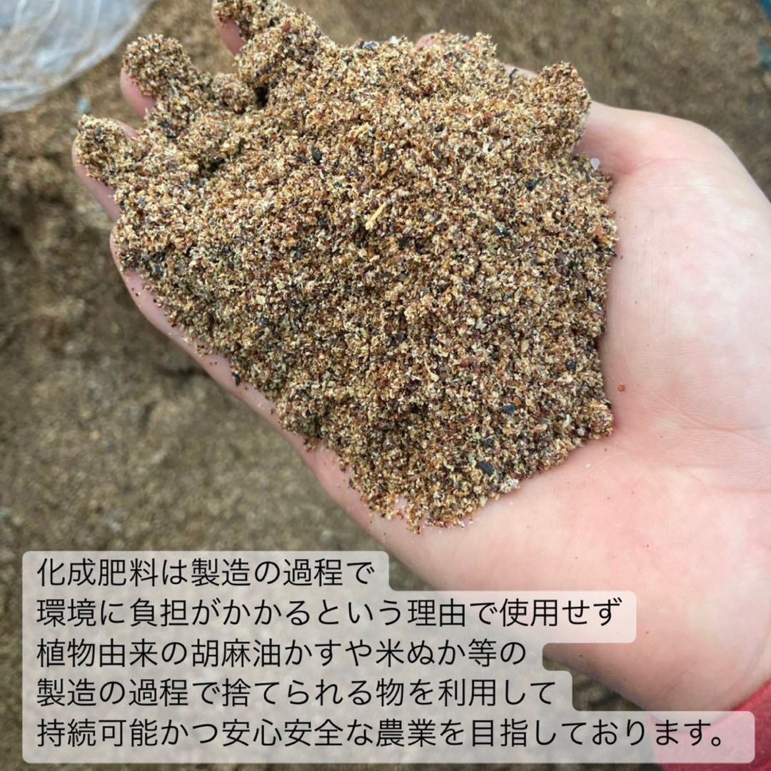 【お茶×◯◯】体に優しいノンカフェイン 国産あずき玄米茶(4g×20個)