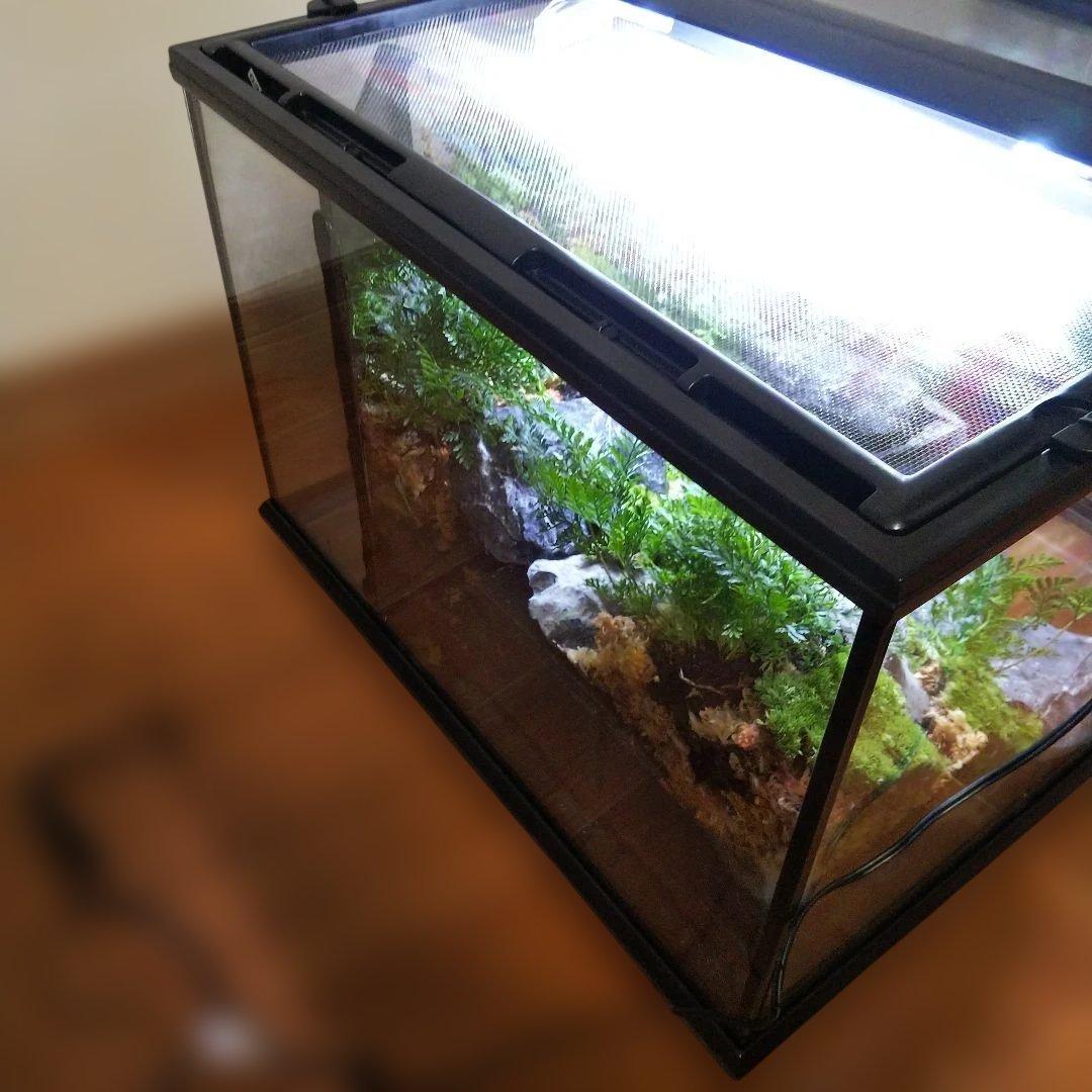 【受注生産】滝のあるアクアテラリウム　グラステラリウム 4530イモリウム