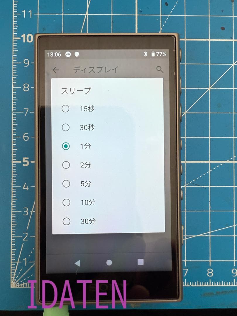 Sony Walkman NW-A106/GC デジタルメディアプレーヤー
