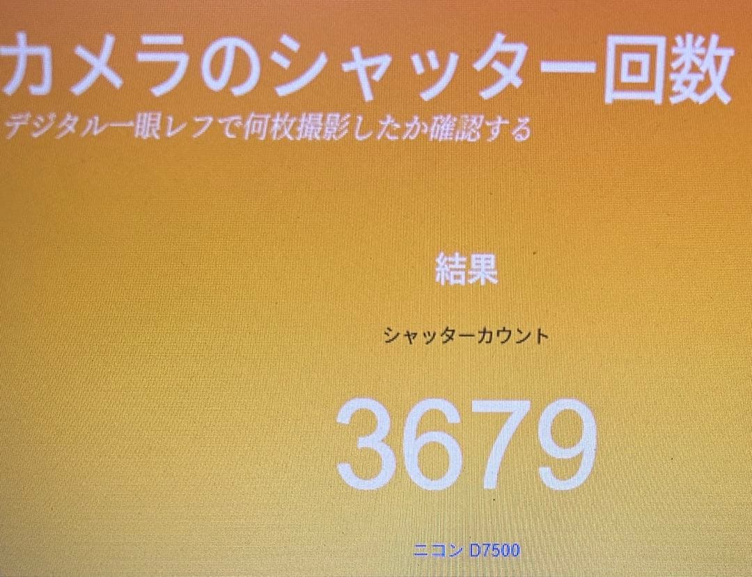 ☘️超美品☘️低ショット Nikon D7500 ダブルズーム 説明書付