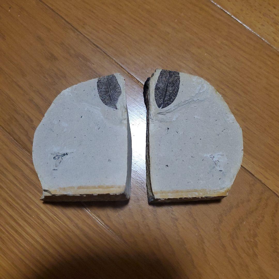 化石