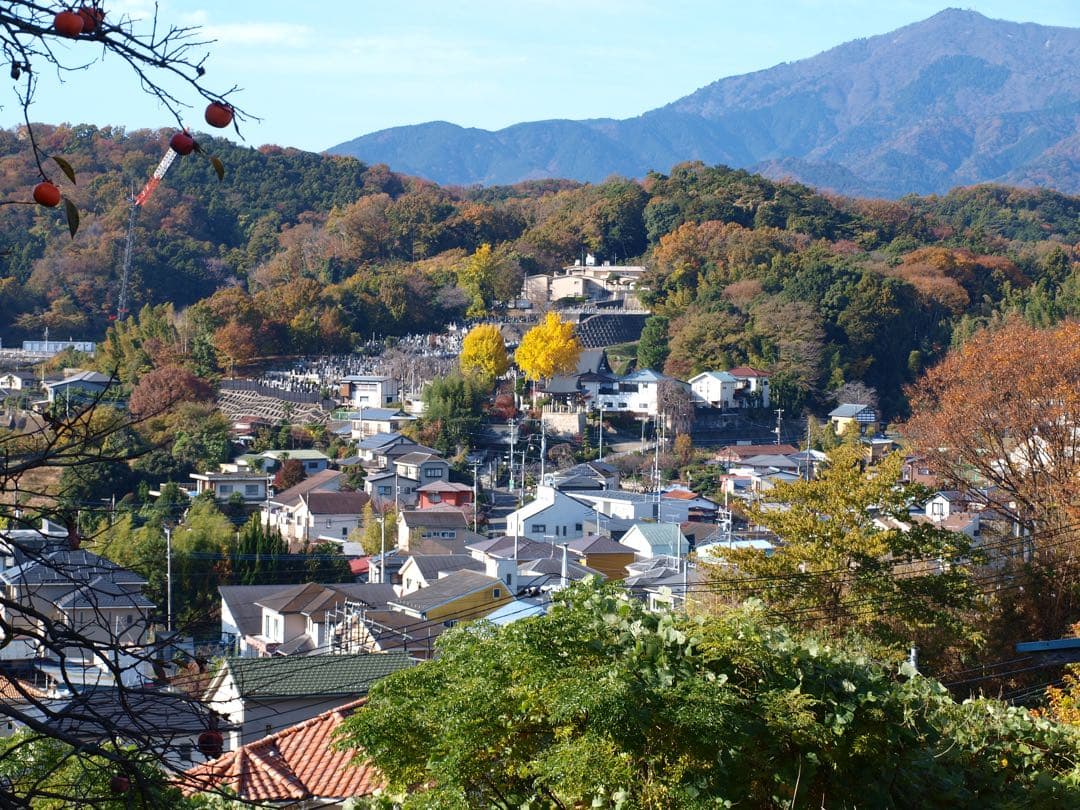 OLYMPUS E-520 ダブルズームキット