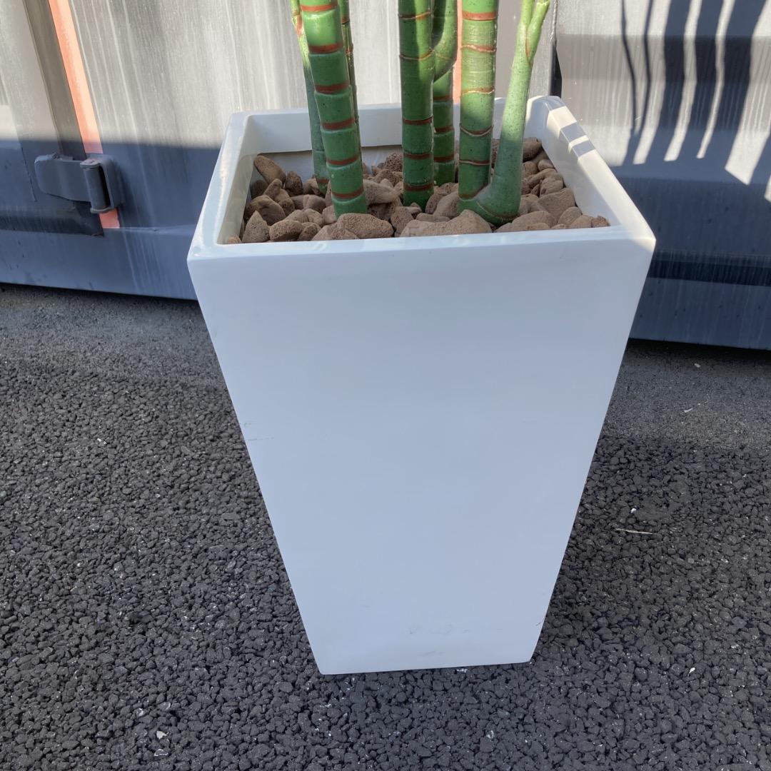 【お値下げOK】大型フェイクグリーン 光触媒人工植物 光の楽園 高さ約270cm