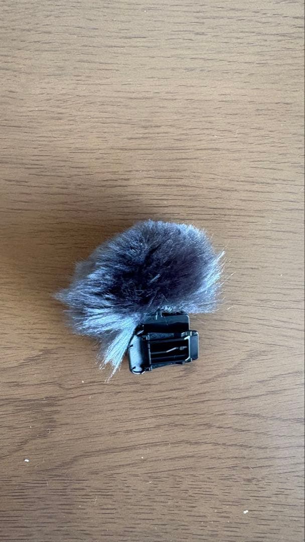 【超美品】Canon Vlogカメラ PowerShot V1