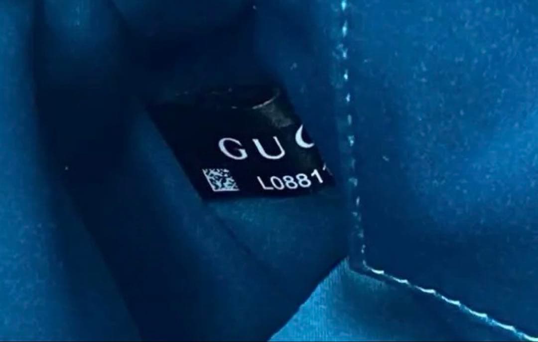 【美品】グッチ オフィディア GGスモール ショルダーバッグ シェリーライン