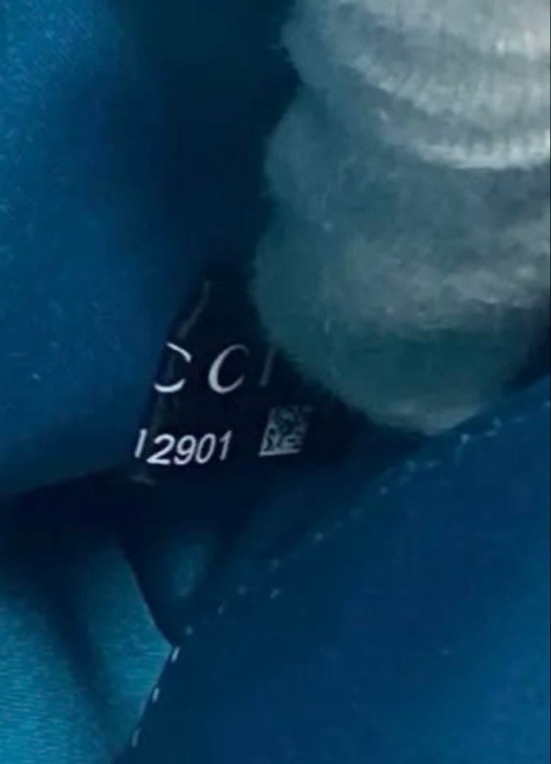 【美品】グッチ オフィディア GGスモール ショルダーバッグ シェリーライン