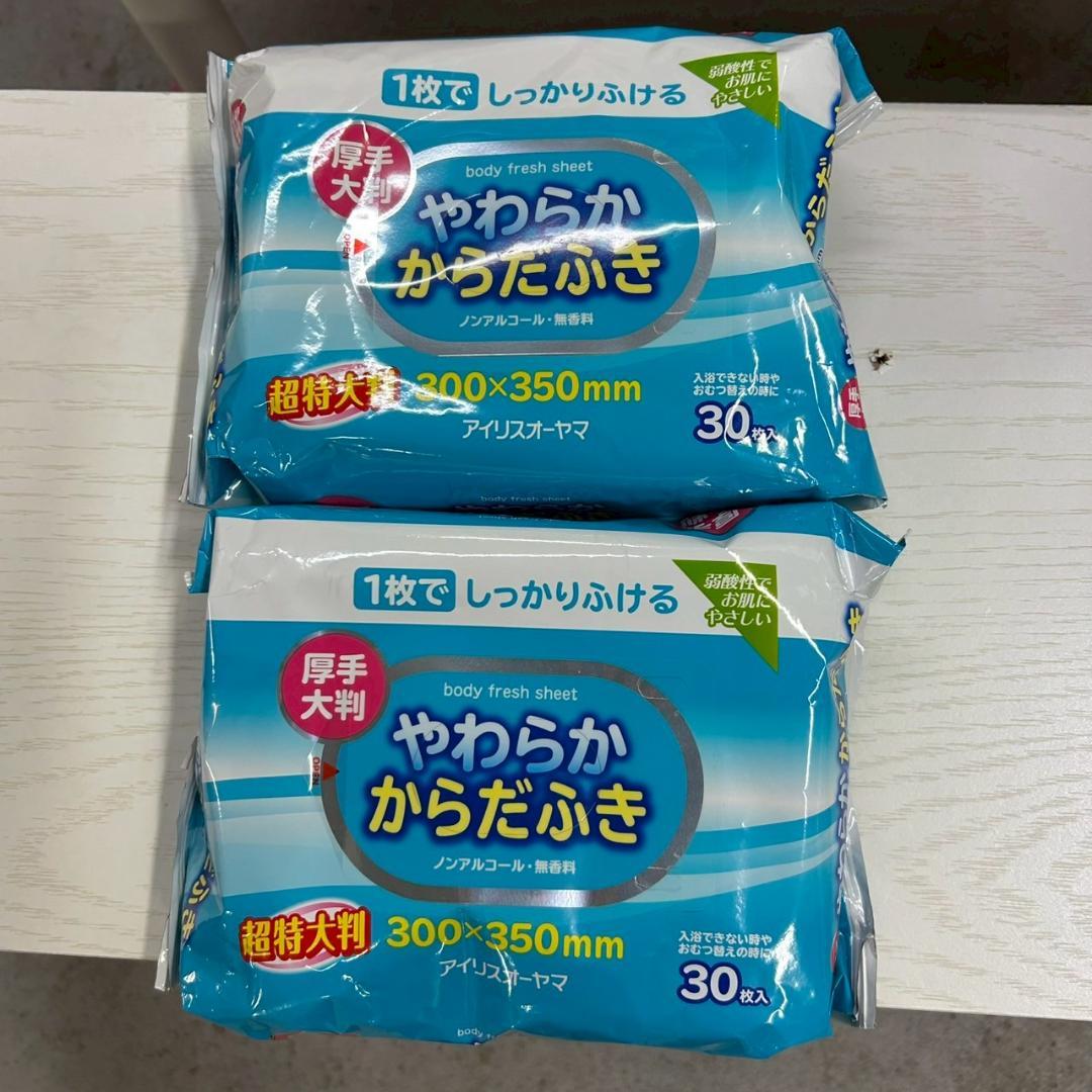 アイリスオーヤマ 防災セット エアーベッド付31点 BS1-31 1人用