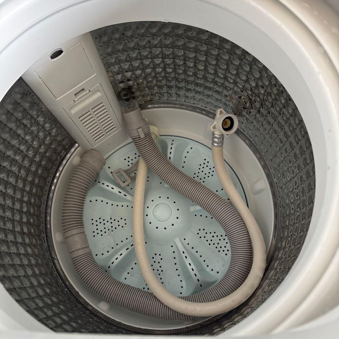 2022年製Haier 縦型洗濯機 HW-U55HK 5.5kg