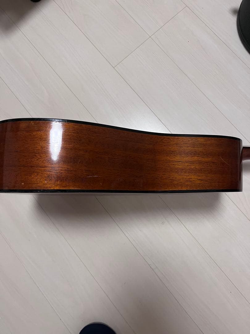 アコースティックギター ハードケース付き　AriaDreadnought
