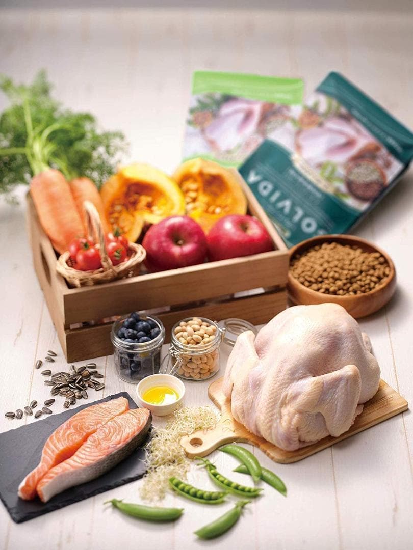 ソルビダ　グレインフリー　チキン　室内飼育成犬用　3.6kg【おまけ付き】