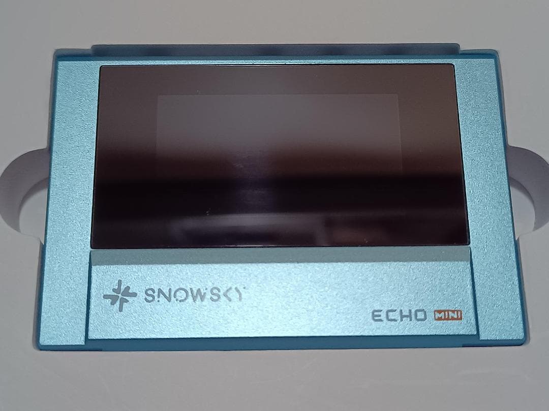 FIIO sky ECHO MINI 皮ケース付き DAP