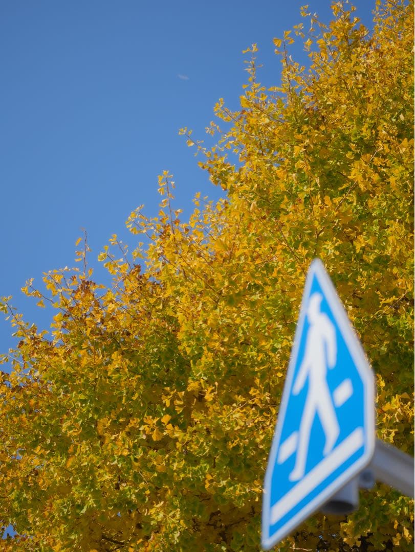 sony α7iii 標準ズームレンズキット おまけ付き