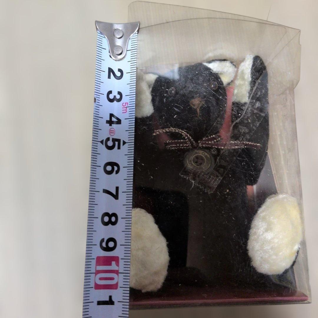 希少　「Petit Loup（プティルウ）」PETIT TEDDY