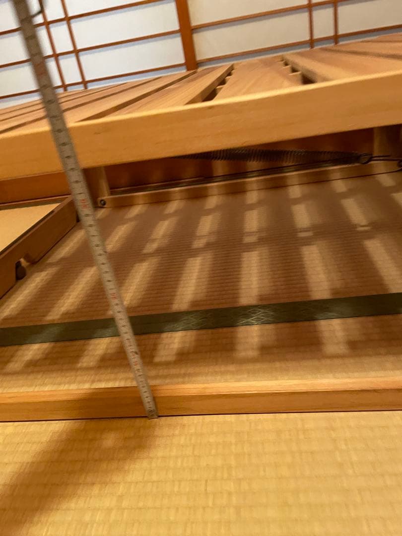 桐らくね
