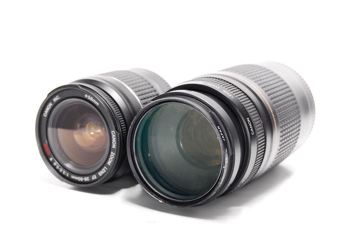 ☘️完動品☘️Canon Kiss X8I 旅行におすすめの一品！ダブルレンズ！