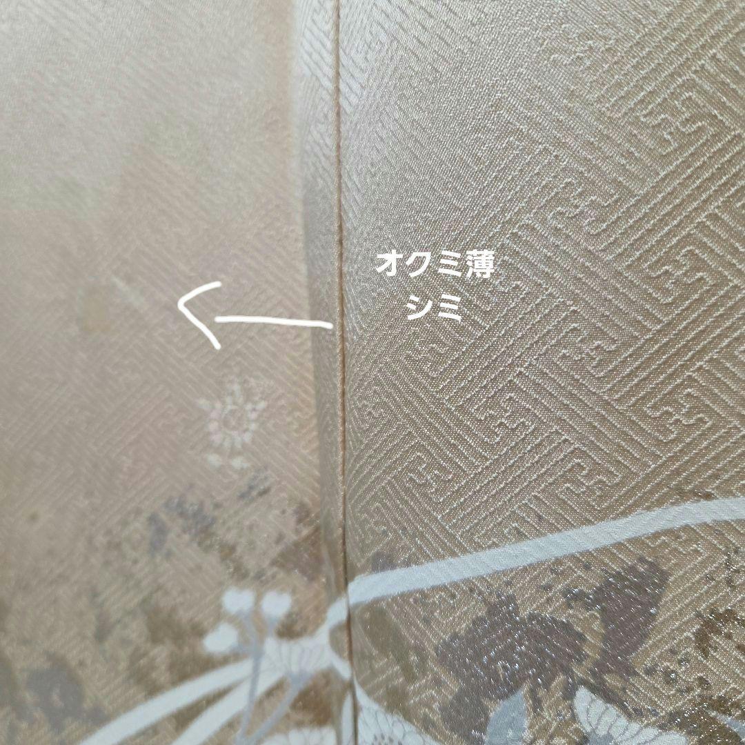 訪問着 4点フルセット、着物、袋帯、帯締め、帯揚げ トールサイズ対応