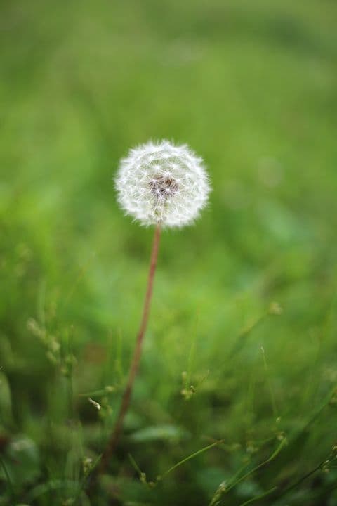 レンズ(単焦点) Nikon AI Nikkor 35mm F2S