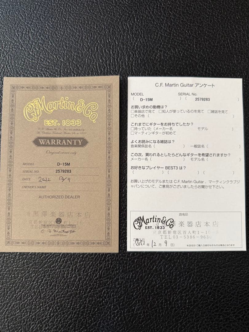 Martin D-15 アコースティックギター