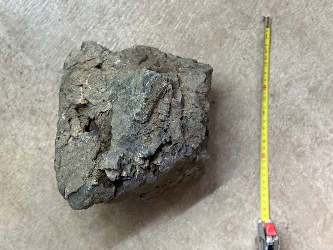 ADA 万天石 大一個