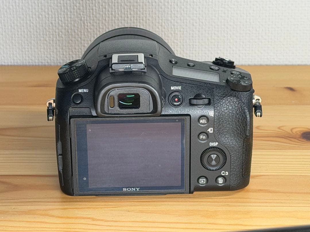 SONY Cyber-shot DSC-RX10M4 + α