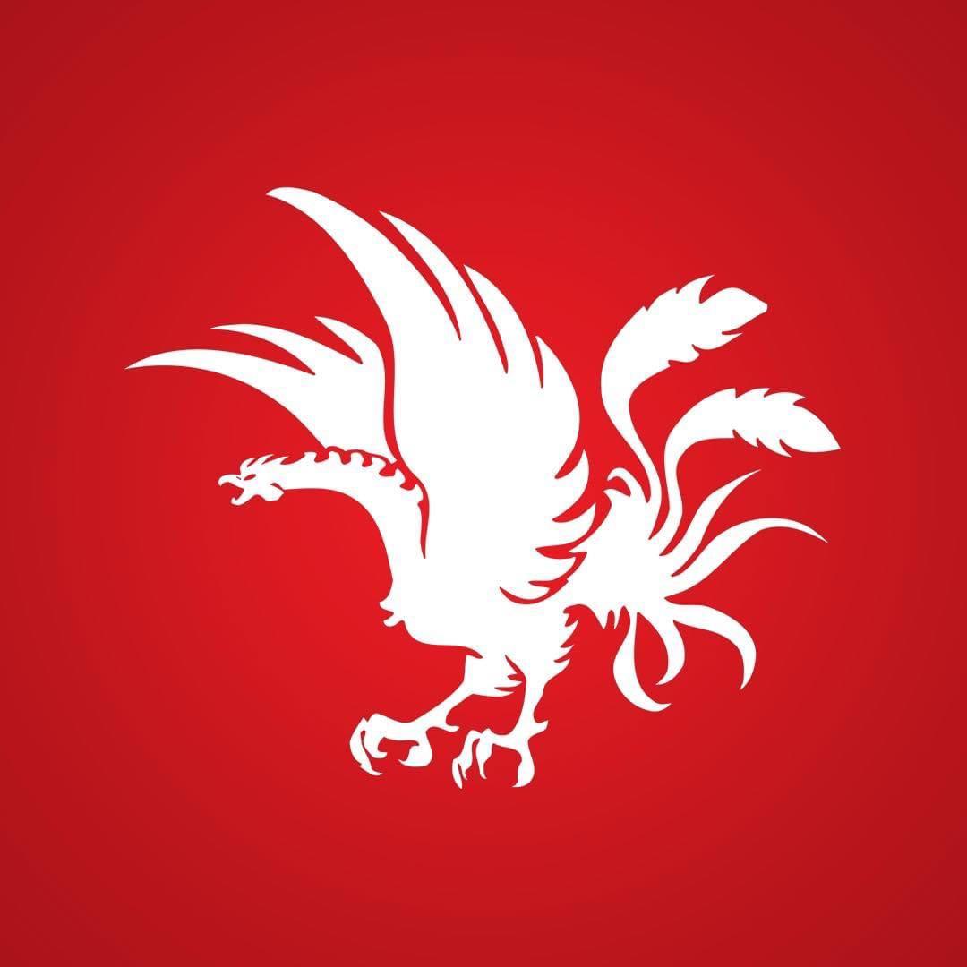 日本大学”PHOENIX”第62回甲子園ボウル出場時試合用ユニフォーム Sサイズ