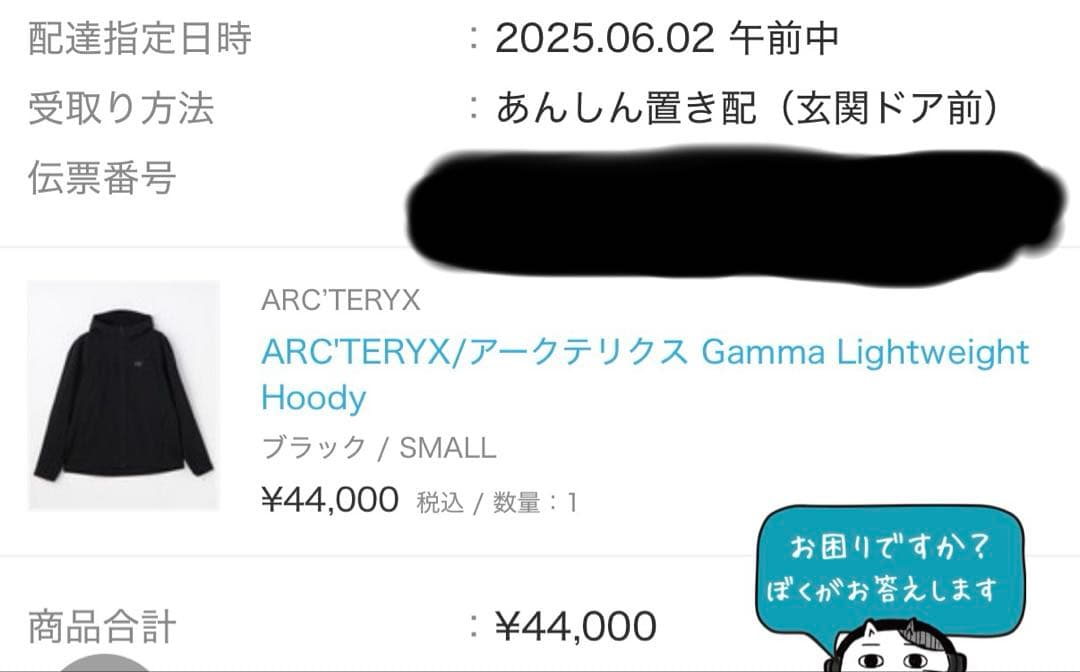 ジャケット・アウター ARC'TERYX Gamma Lightweight Hoody