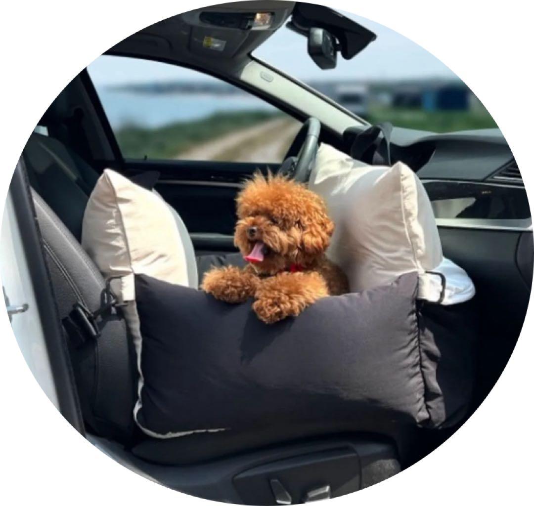 ペットカーシート ペットドライブボックス ペットキャリー犬用カーシートSサイズ赤