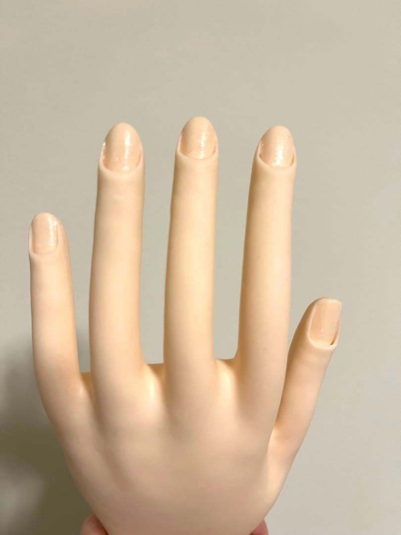 MODEL HAND ネイルアート検定用