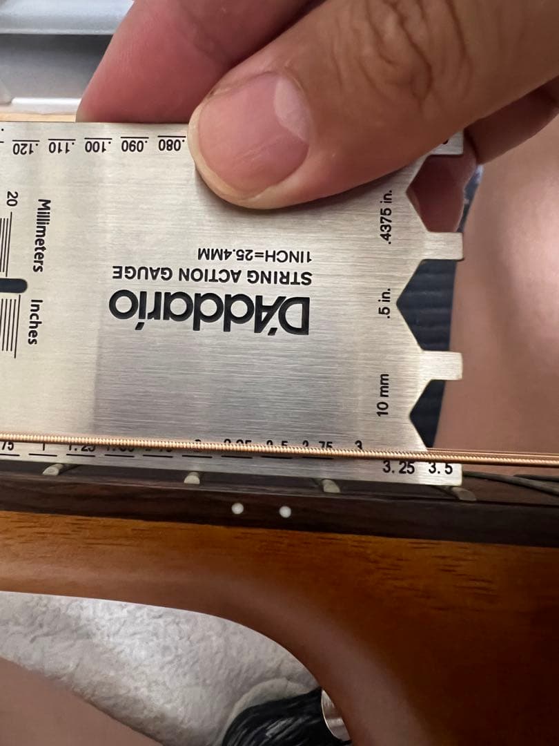 aNueNue Bird Guitar aNN-M10E エレアコ