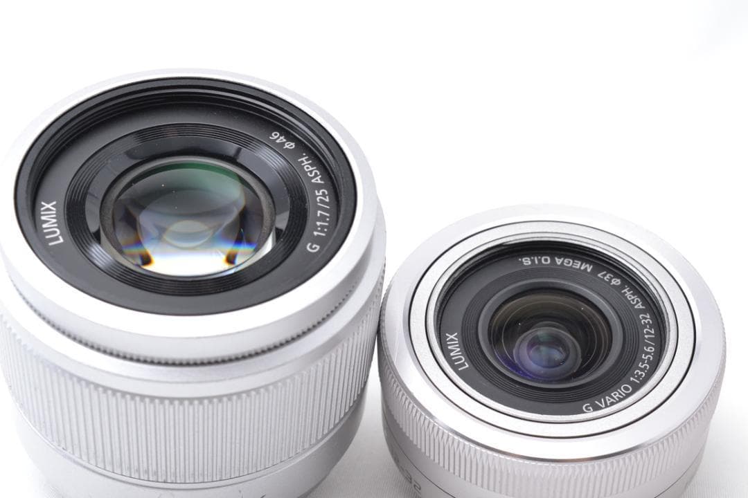 Panasonic LUMIX GF9 ミラーレス ダブルズームキット