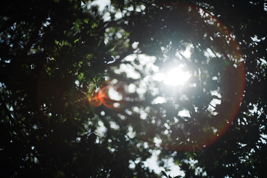 【極美品】動作◎ ニコン　Ai Nikkor 50mm F1.4 940