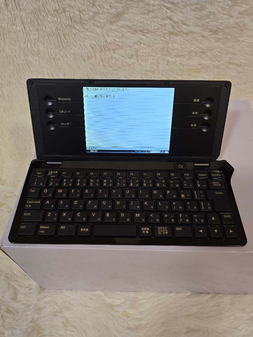 KINGJIM POMERA DM100　キングジム ポメラ DM100 美品