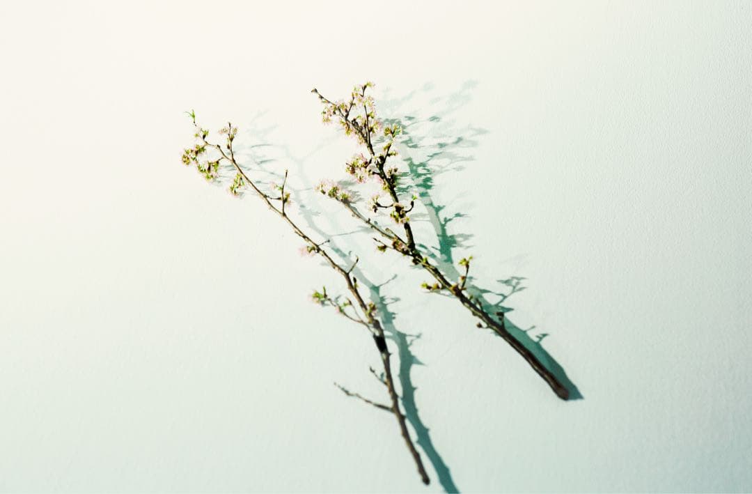 Nikon FM3A 一眼レフカメラ