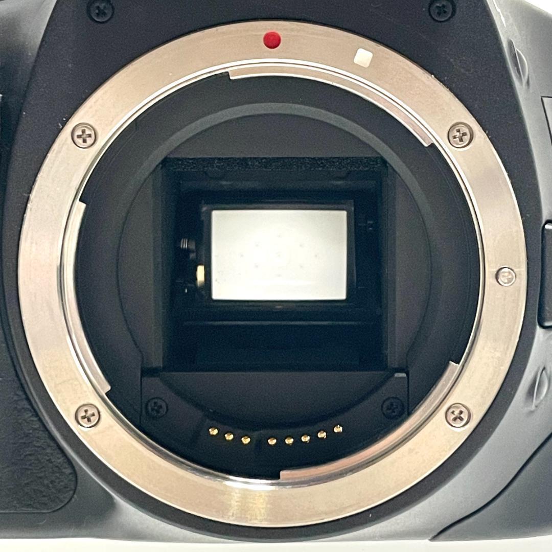 高画質❣️ Canon EOS Kiss X4 Wズームレンズセット