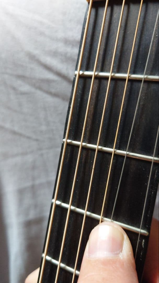 Larrivée パーラー o-01 shadow nano mag付