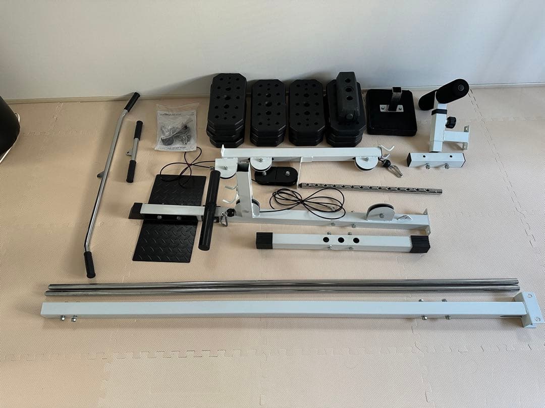 ワイルドフィット　WILD FIT 200ラットプルマシン　ウエイトプレート付