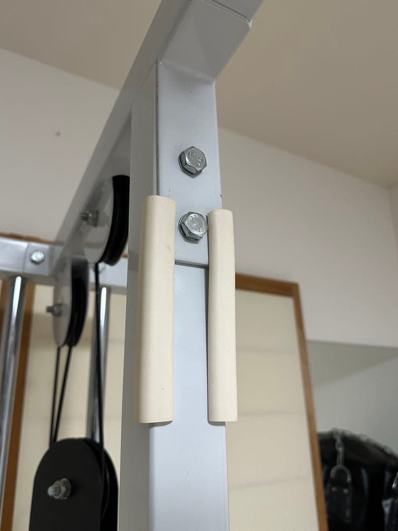 ワイルドフィット　WILD FIT 200ラットプルマシン　ウエイトプレート付