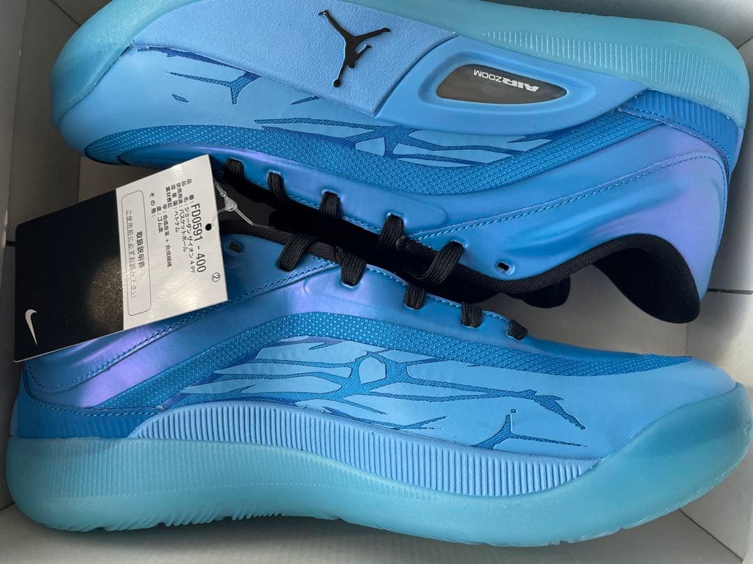 【新品】ジョーダンザイオン4PF イリディセンス　26cm