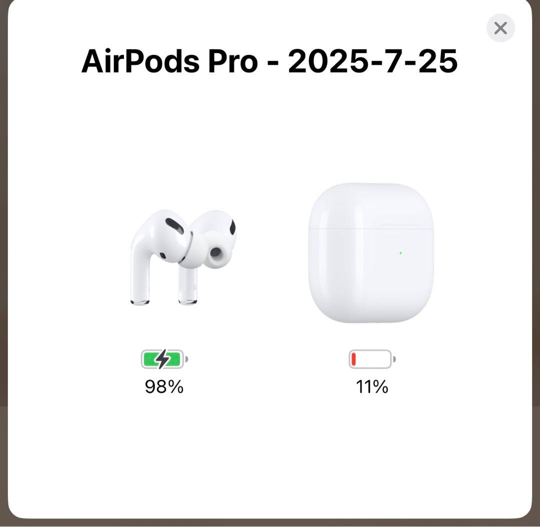 Apple AirPods 本体　A2190 A2083 A2084 管7-25