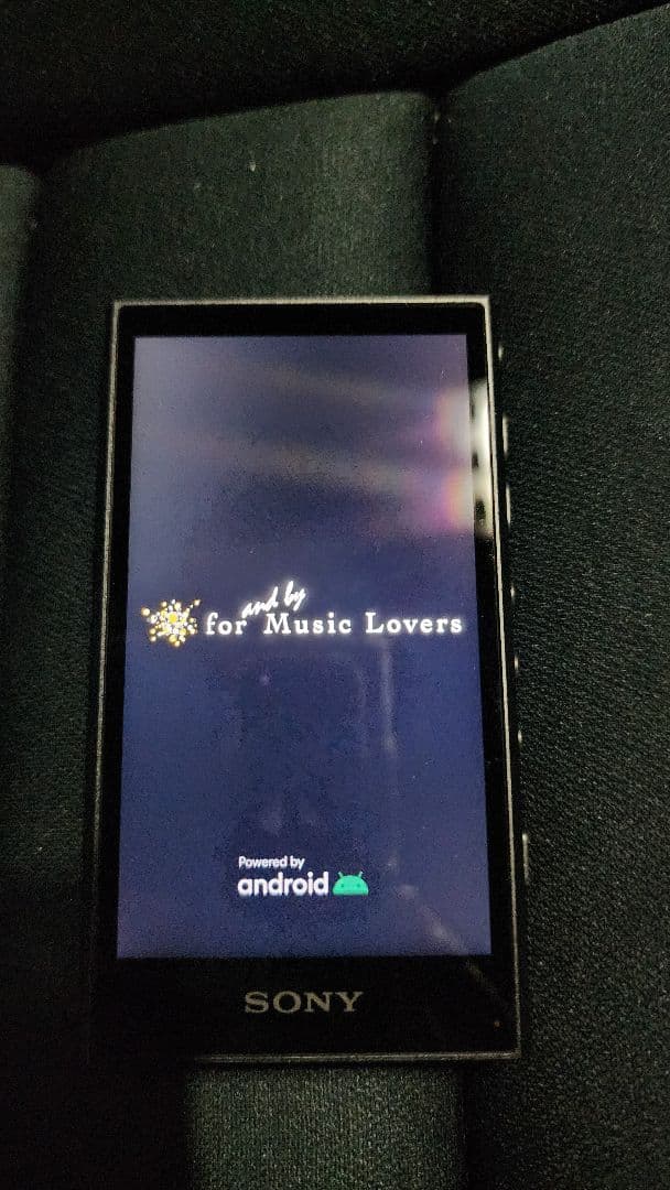 SONY WALKMAN NW-A306 ブラック