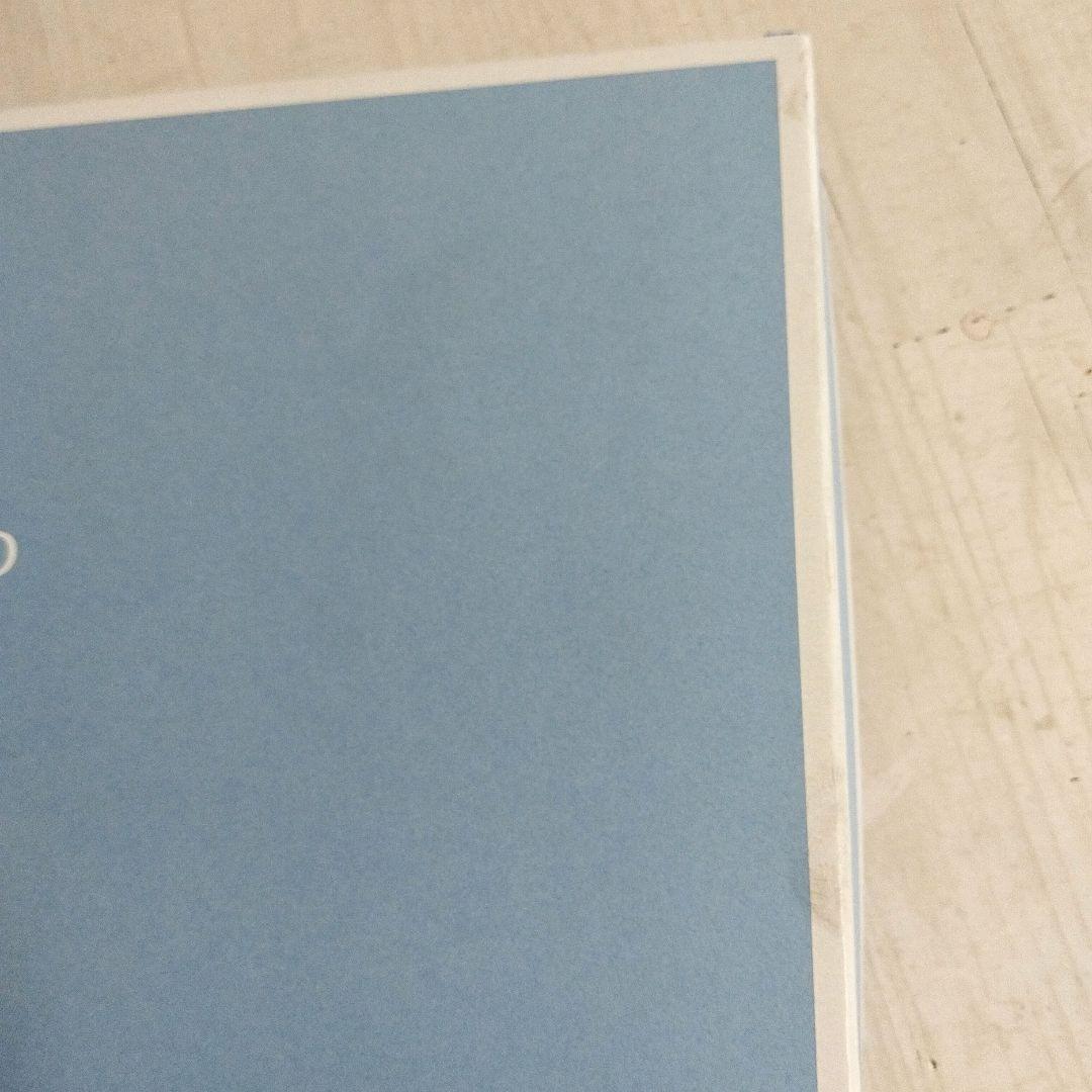 【箱・説明書付】ワンダーラスト ロココフラワーズ＆カメリアトレイ