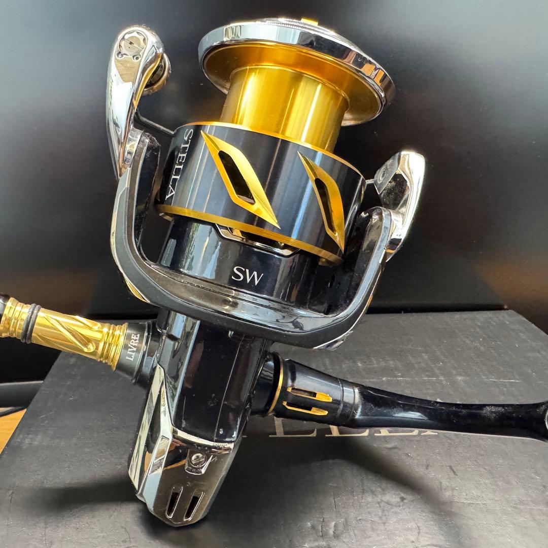 SHIMANO【20ステラSW6000HG】