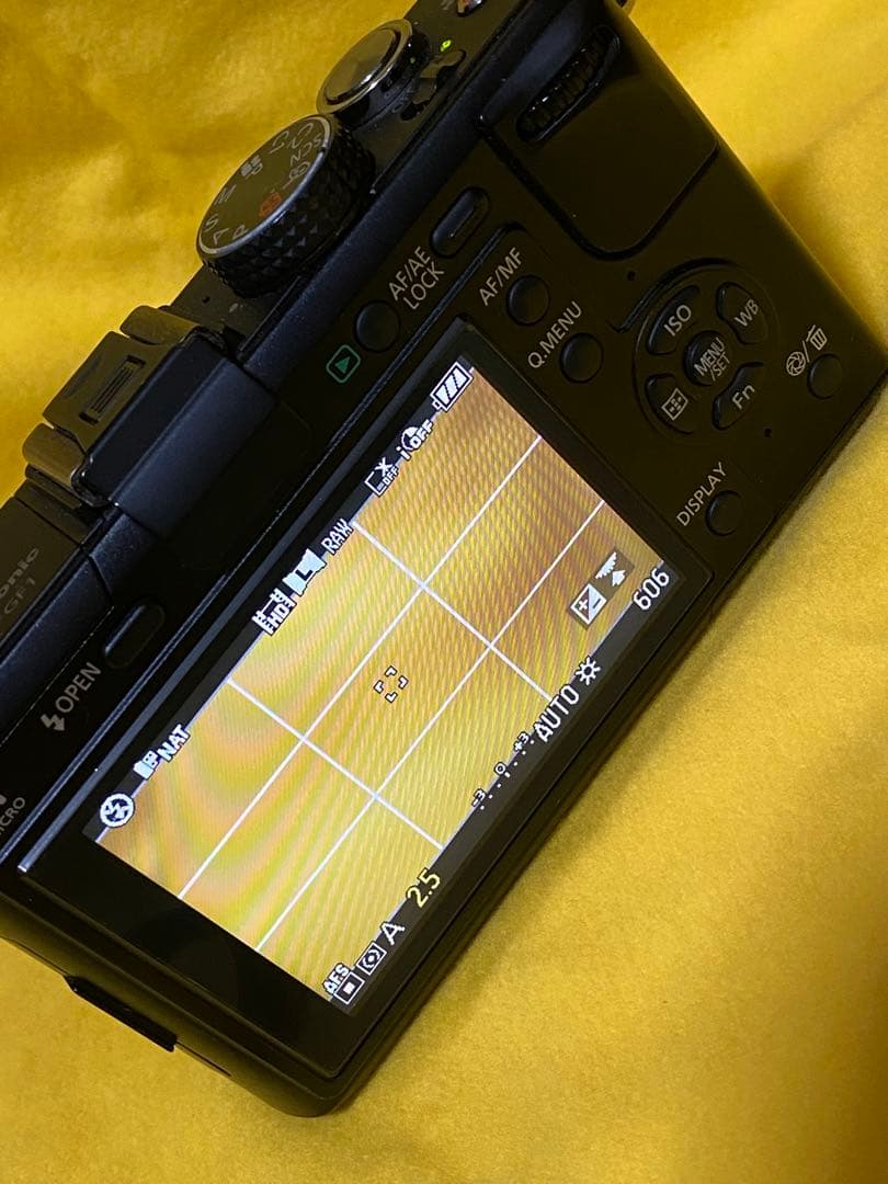 LUMIX GF1 ミラーレス一眼カメラ見た目ジャンク