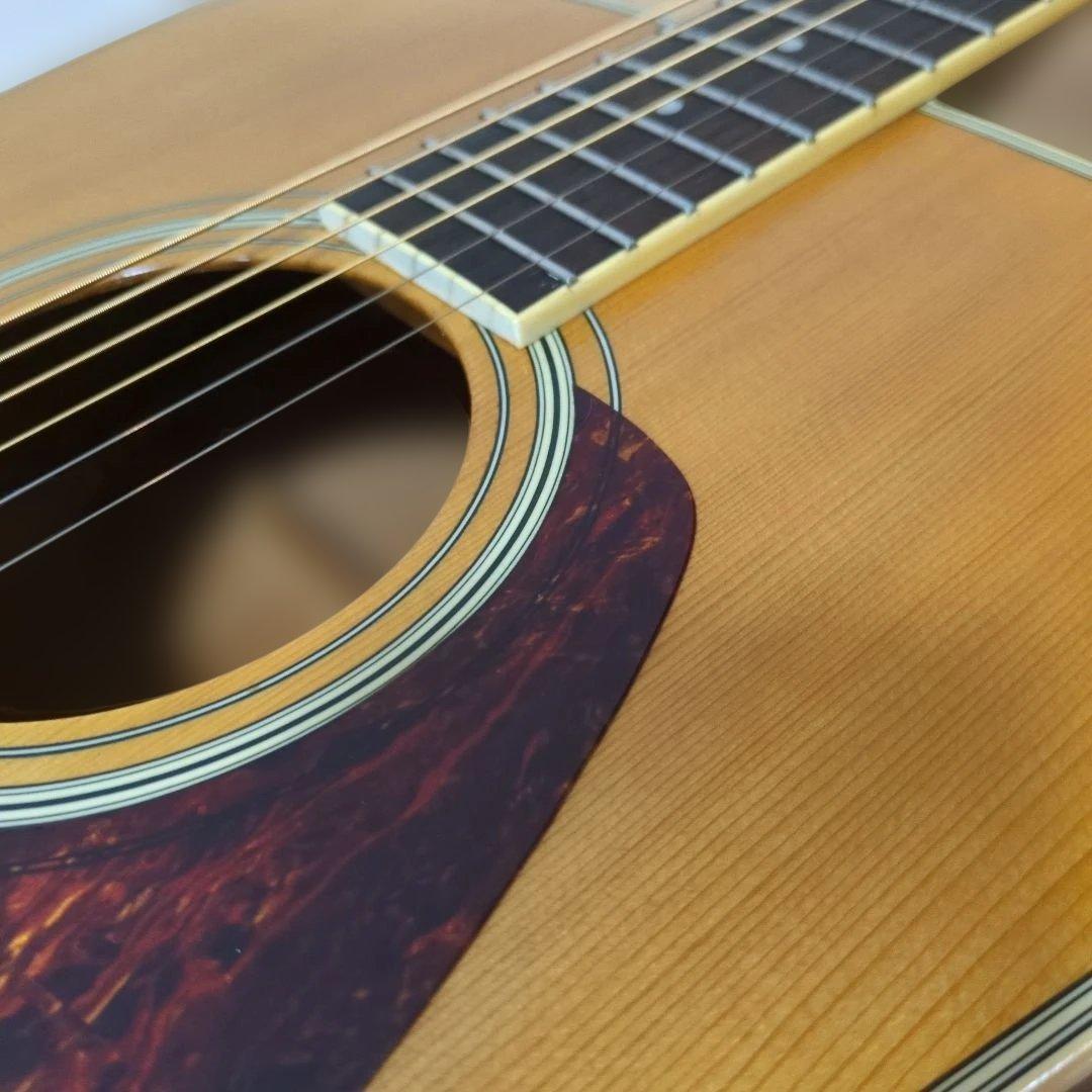 【美品】Morris MD-507 アコースティックギター