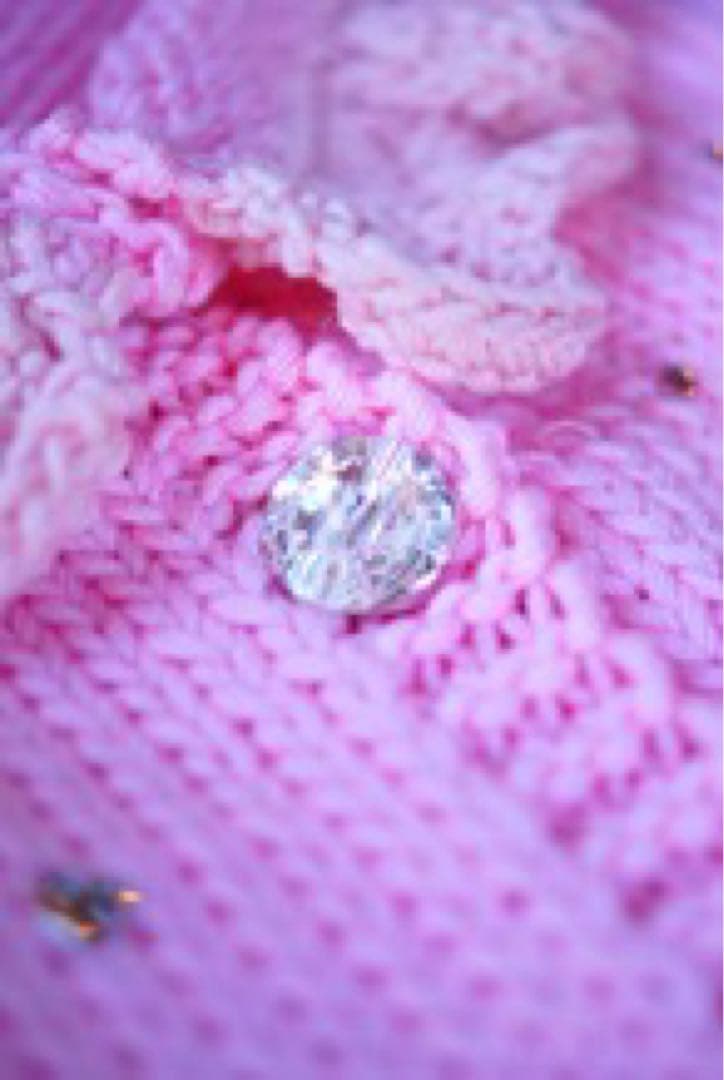 【半額以下】　itdogsピンクのジルコン付きニット犬服