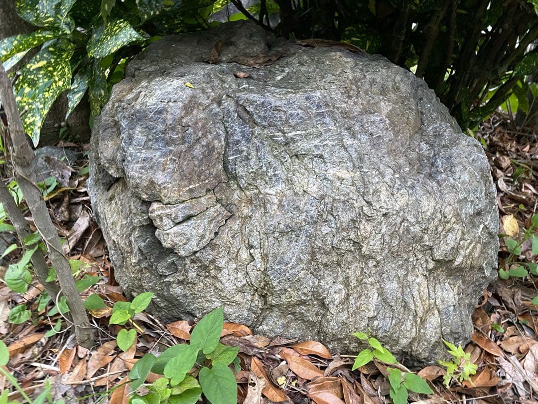 庭石 灰色 約75×80×45㎝ 自然石【石川県引き取り限定】まとめ割